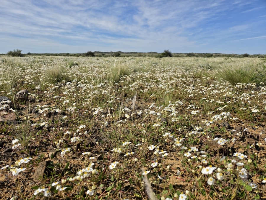 Commercial Property for Sale in Kenhardt Northern Cape